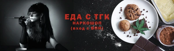 хмурый Алзамай