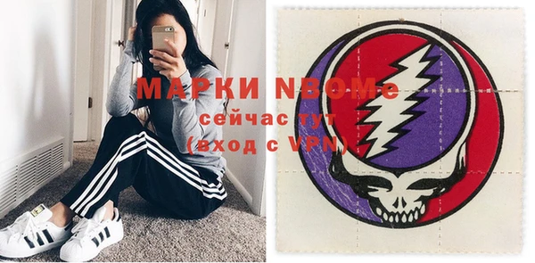 хмурый Алзамай
