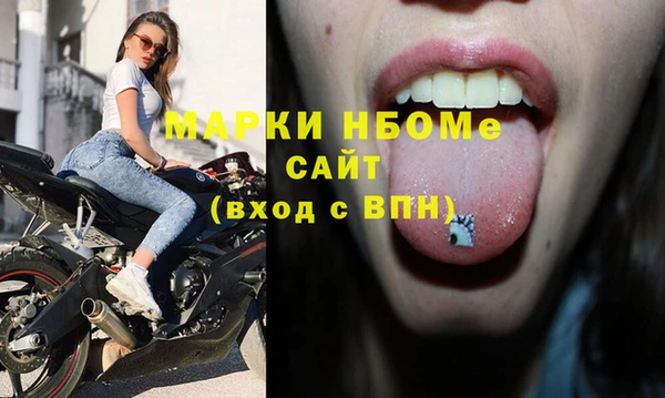 хмурый Алзамай