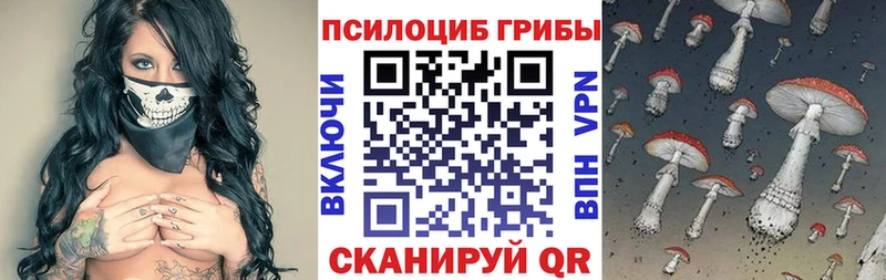 Псилоцибиновые грибы Psilocybe  Рославль 