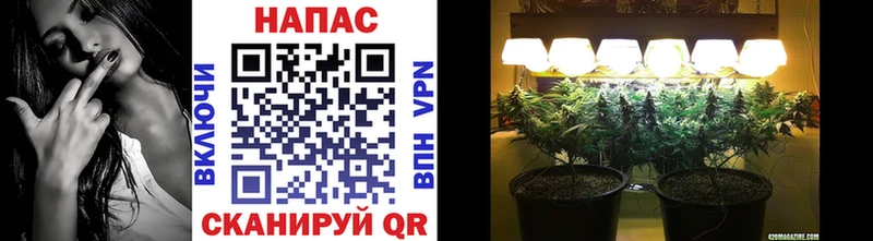 Бошки марихуана марихуана  Рославль 